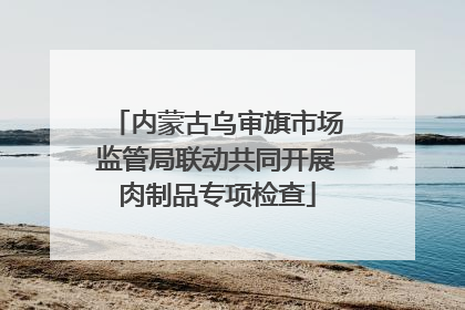 内蒙古乌审旗市场监管局联动共同开展肉制品专项检查