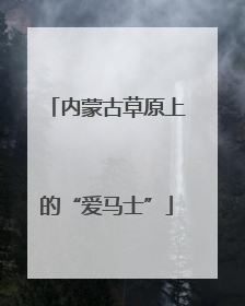 内蒙古草原上的“爱马士”