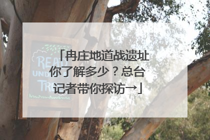 冉庄地道战遗址你了解多少？总台记者带你探访→