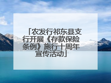 农发行祁东县支行开展《存款保险条例》施行十周年宣传活动