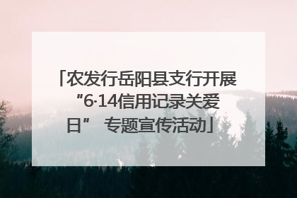 农发行岳阳县支行开展“6·14信用记录关爱日” 专题宣传活动