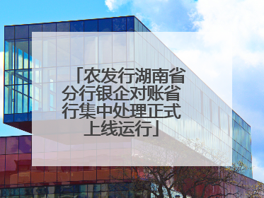 农发行湖南省分行银企对账省行集中处理正式上线运行