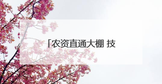 农资直通大棚 技术送到地头——岱岳区供销社以“服务下沉”打通服务“三农”最后一公里