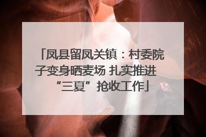 凤县留凤关镇：村委院子变身晒麦场 扎实推进“三夏”抢收工作