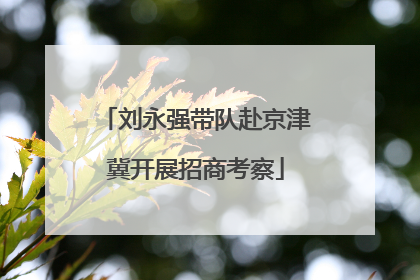 刘永强带队赴京津冀开展招商考察