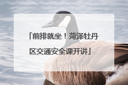 前排就坐！菏泽牡丹区交通安全课开讲