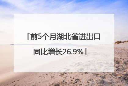 前5个月湖北省进出口同比增长26.9%