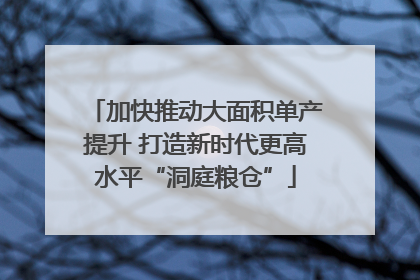 加快推动大面积单产提升 打造新时代更高水平“洞庭粮仓”