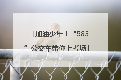 加油少年！“985”公交车带你上考场