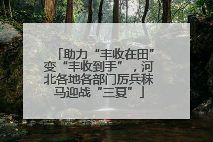 助力“丰收在田”变“丰收到手”，河北各地各部门厉兵秣马迎战“三夏”