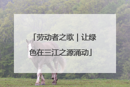 劳动者之歌｜让绿色在三江之源涌动