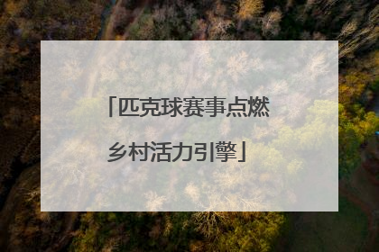 匹克球赛事点燃乡村活力引擎