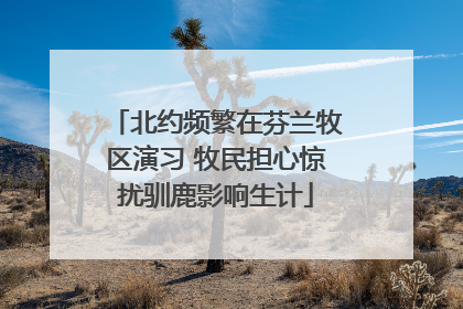 北约频繁在芬兰牧区演习 牧民担心惊扰驯鹿影响生计