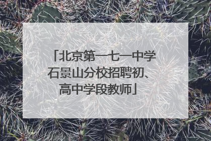 北京第一七一中学石景山分校招聘初、高中学段教师