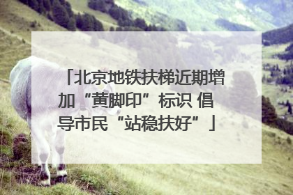 北京地铁扶梯近期增加“黄脚印”标识 倡导市民“站稳扶好”