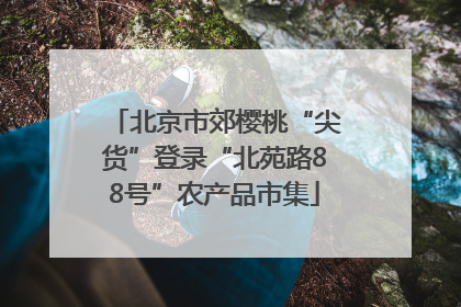 北京市郊樱桃“尖货”登录“北苑路88号”农产品市集