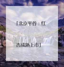 北京平谷：红杏成熟上市
