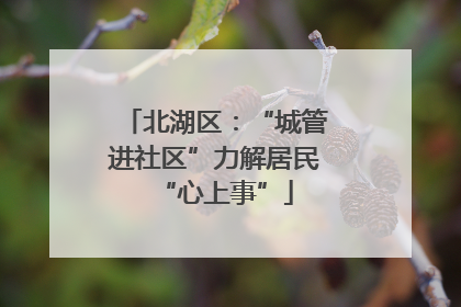 北湖区：“城管进社区”力解居民“心上事”