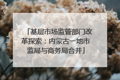 基层市场监管部门改革探索：内蒙古一地市监局与商务局合并