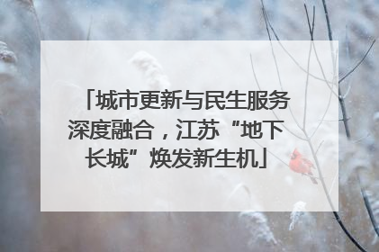 城市更新与民生服务深度融合，江苏“地下长城”焕发新生机