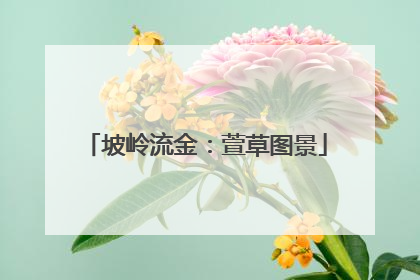 坡岭流金：萱草图景