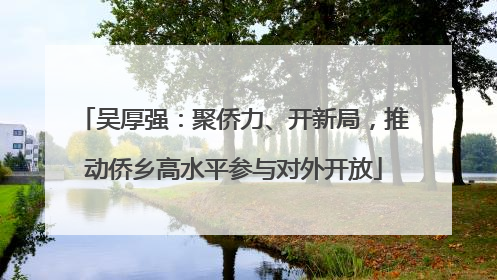 吴厚强：聚侨力、开新局，推动侨乡高水平参与对外开放