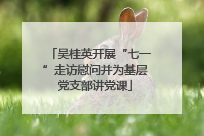 吴桂英开展“七一”走访慰问并为基层党支部讲党课