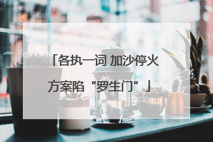 各执一词 加沙停火方案陷“罗生门”