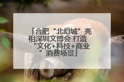 合肥“北幻城”亮相深圳文博会 打造“文化+科技+商业”消费场景