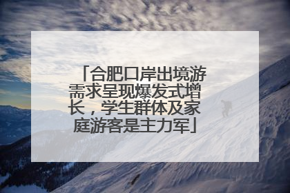 合肥口岸出境游需求呈现爆发式增长，学生群体及家庭游客是主力军
