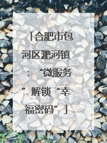 合肥市包河区淝河镇：“微服务”解锁“幸福密码”