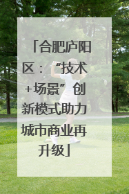 合肥庐阳区：“技术+场景”创新模式助力城市商业再升级