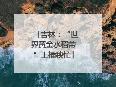吉林：“世界黄金水稻带”上插秧忙