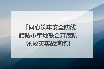 同心筑牢安全防线 醴陵市军地联合开展防汛救灾实战演练