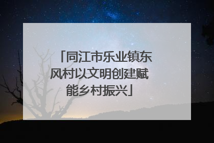 同江市乐业镇东风村以文明创建赋能乡村振兴