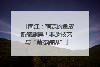 同江：萌宠的鱼皮新装刷屏！非遗技艺与“萌态跨界”