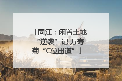 同江：闲置土地“逆袭”记 万寿菊“C位出道”