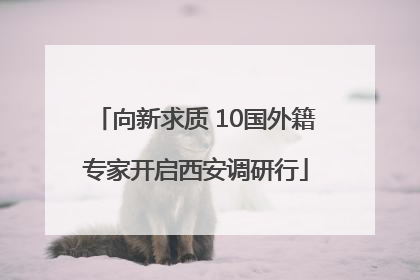 向新求质 10国外籍专家开启西安调研行