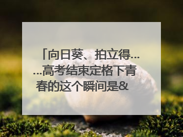 向日葵、拍立得……高考结束定格下青春的这个瞬间是& 8594;｜2025四川高考