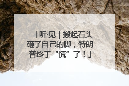 听·见｜搬起石头砸了自己的脚，特朗普终于“慌”了！