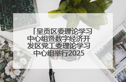 呈贡区委理论学习中心组暨数字经济开发区党工委理论学习中心组举行2025年第七次学习会议