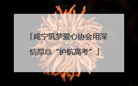 咸宁筑梦爱心协会用深情厚意“护航高考”