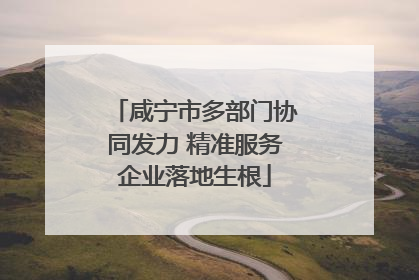 咸宁市多部门协同发力 精准服务企业落地生根