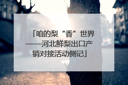 咱的梨“香”世界——河北鲜梨出口产销对接活动侧记
