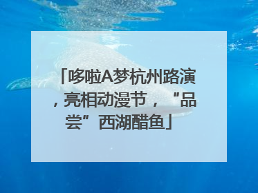 哆啦A梦杭州路演，亮相动漫节，“品尝”西湖醋鱼