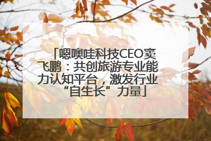 嗯噢哇科技CEO窦飞鹏：共创旅游专业能力认知平台，激发行业“自生长”力量