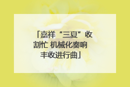 嘉祥“三夏”收割忙 机械化奏响丰收进行曲