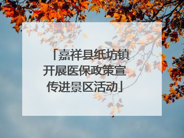 嘉祥县纸坊镇开展医保政策宣传进景区活动