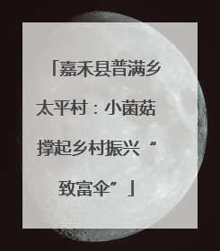 嘉禾县普满乡太平村：小菌菇撑起乡村振兴“致富伞”
