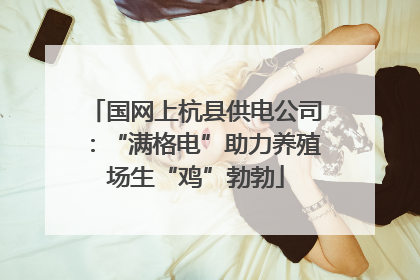 国网上杭县供电公司：“满格电”助力养殖场生“鸡”勃勃
